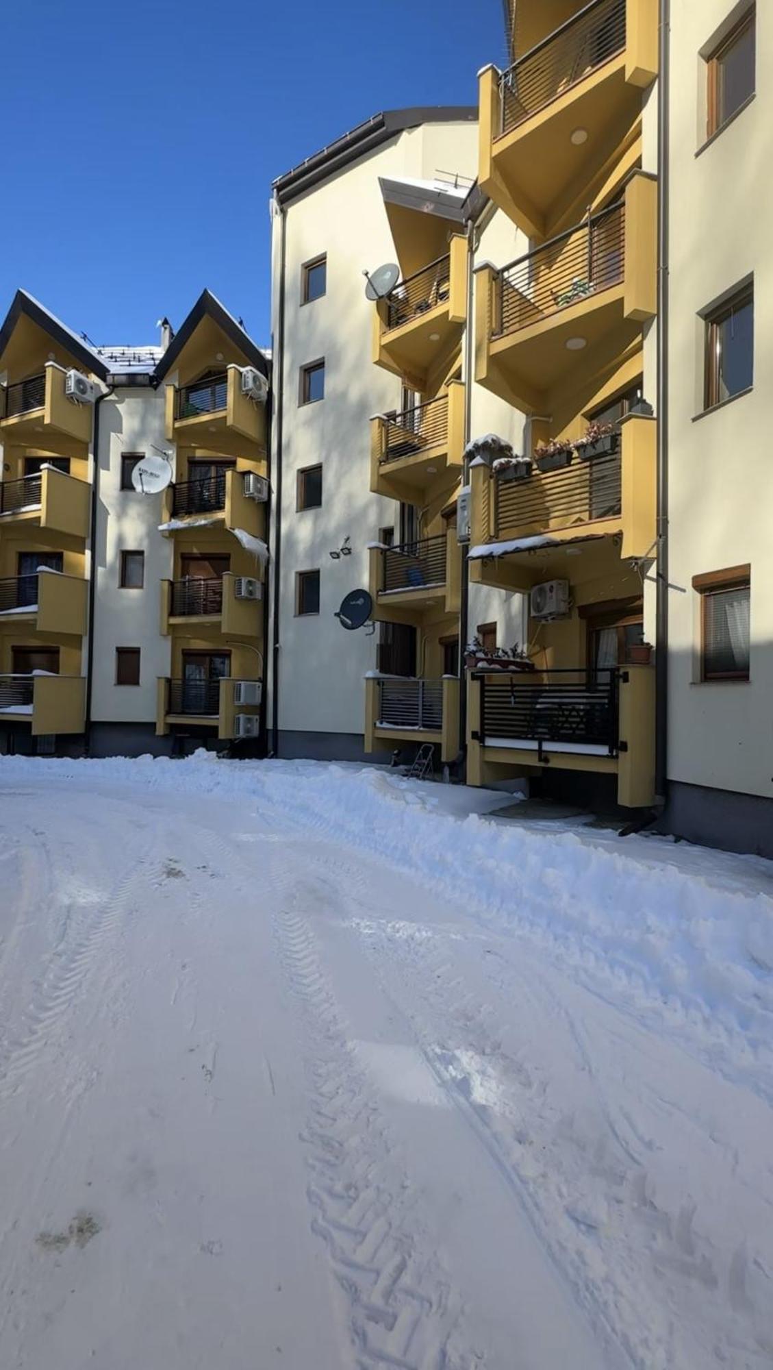 Forest View Apartment Маврово Екстер'єр фото